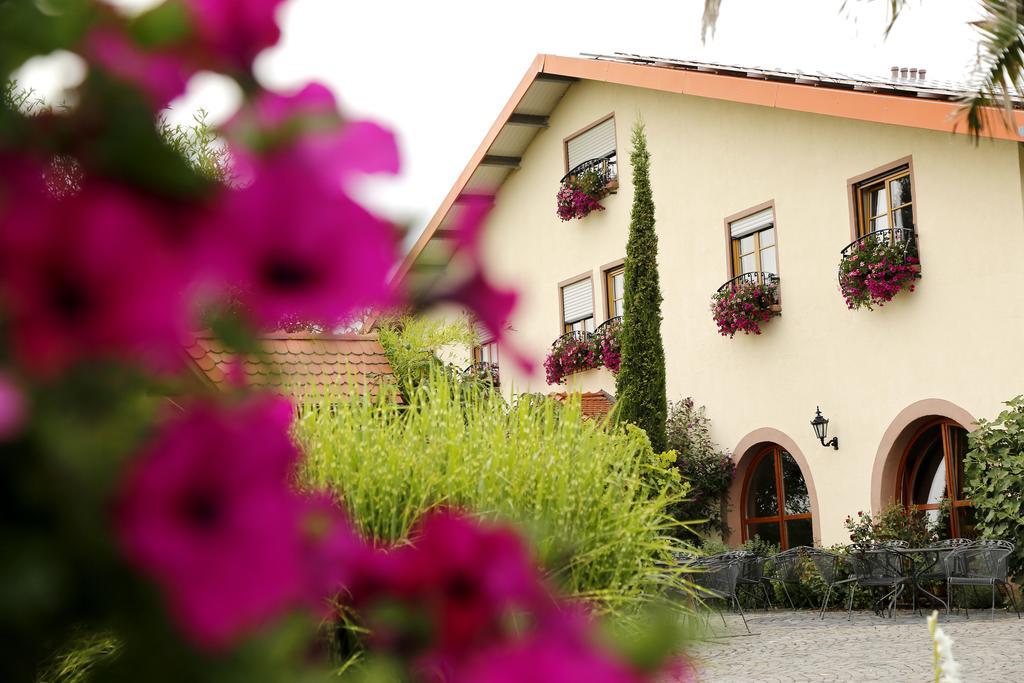 Gasthuis Hochdoerffer Gaestehaus Landau in der Pfalz